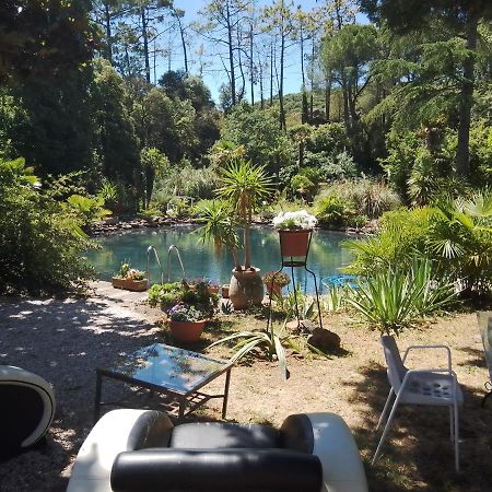 Chambre Studio Verparadis Mourèze Exteriér fotografie