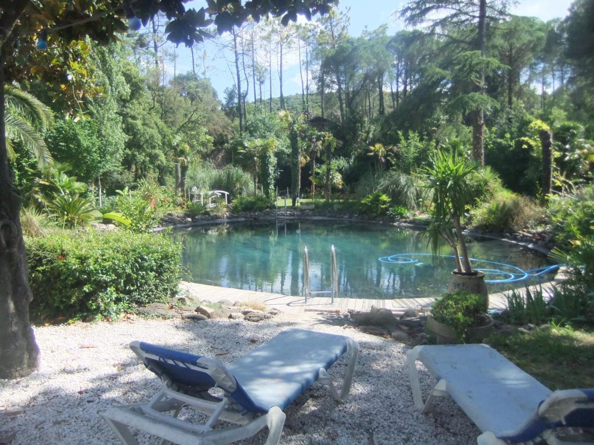 Chambre Studio Verparadis Mourèze Exteriér fotografie