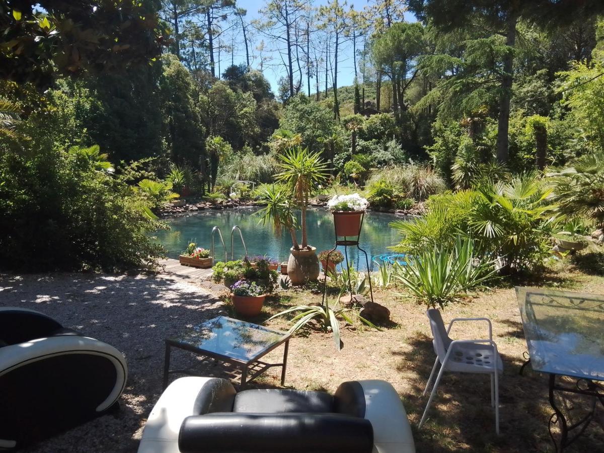 Chambre Studio Verparadis Mourèze Exteriér fotografie